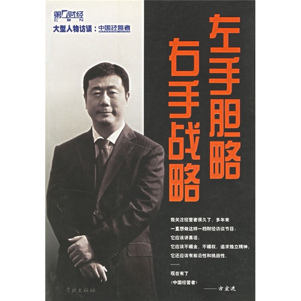 左手胆略右手战略:大型人物访谈:中国经营者