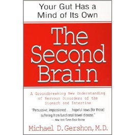 The Second Brain
