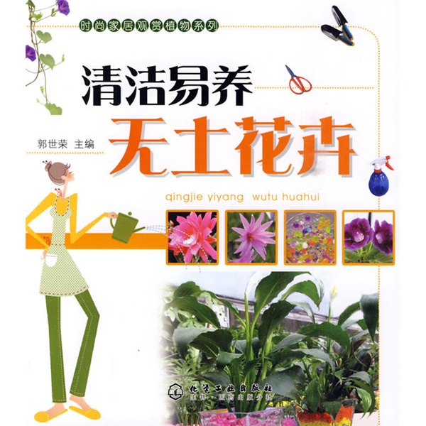 清洁易养无土花卉