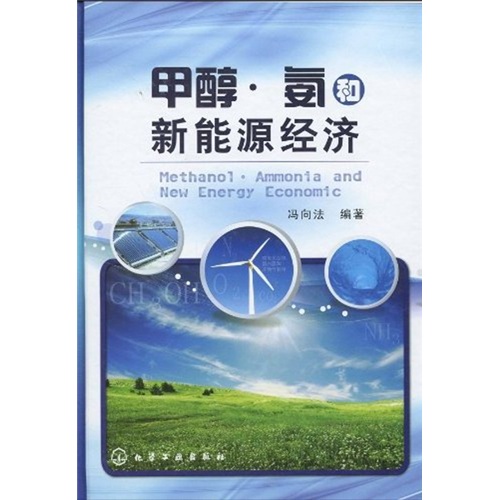 甲醇·氨和新能源经济