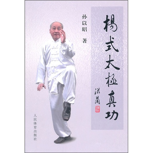杨式太极真功
