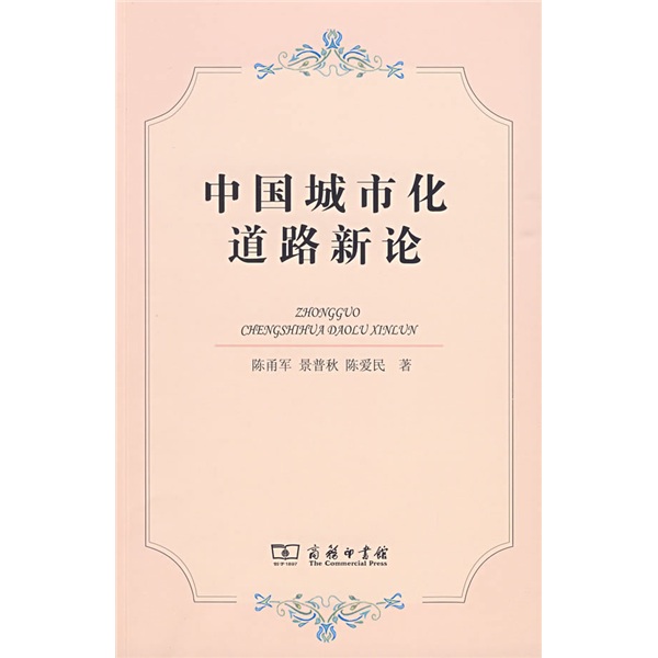 中国城市化道路新论