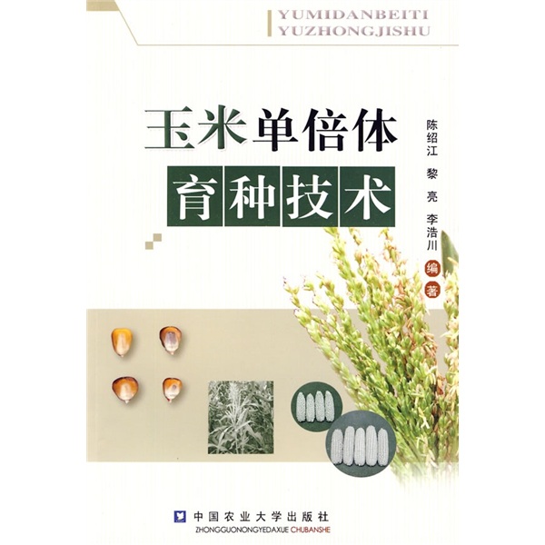 玉米单倍体育种技术