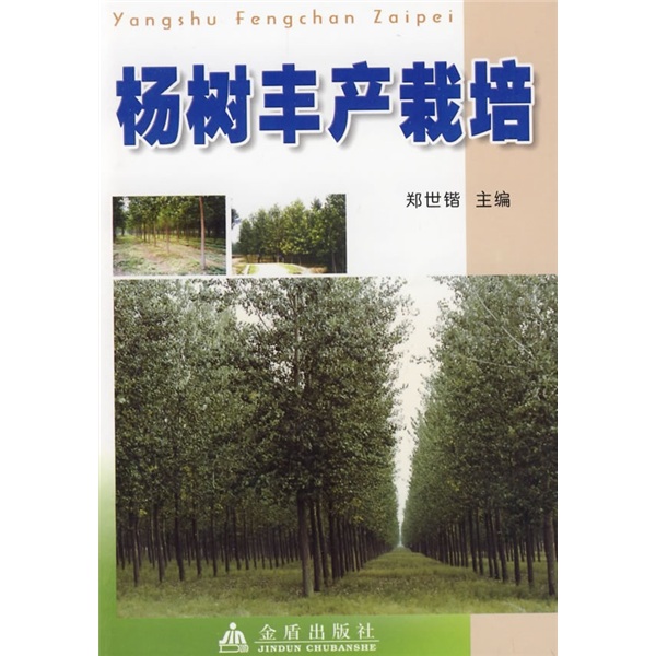 杨树丰产栽培