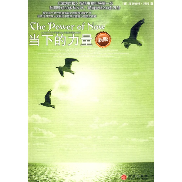 当下的力量（新版）