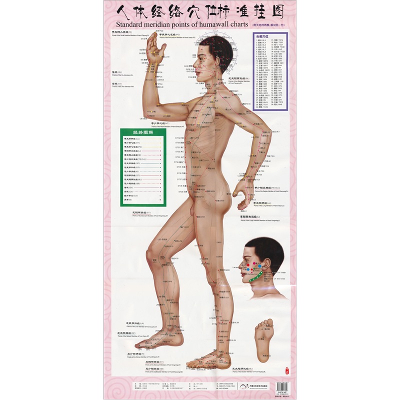 人体经络穴位标准挂图（1套共3张挂图）