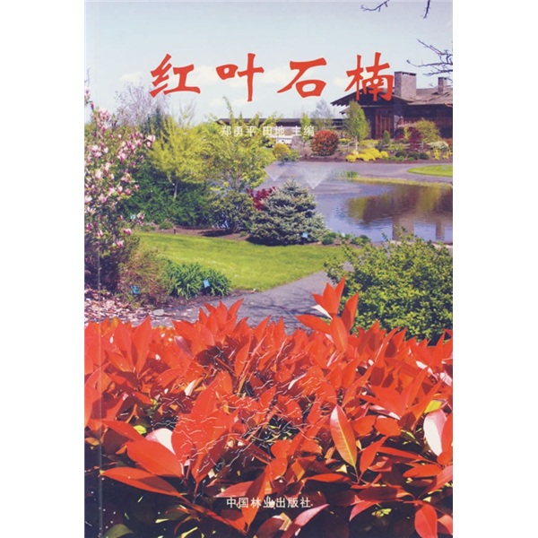 红叶石楠