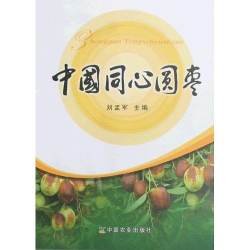 中国同心圆枣