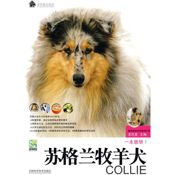 正版现货 苏格兰牧羊犬9787538446432吉林科学技术