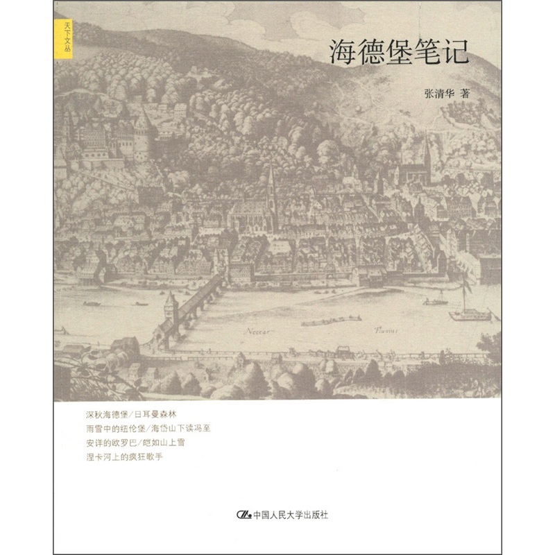 天下文丛：海德堡笔记