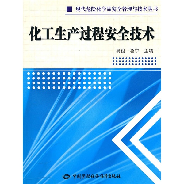 化工生产过程安全技术--现代危险化学品安全管理与技术丛书 安全生产月推荐用书