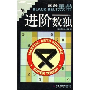 四段黑带：进阶数独