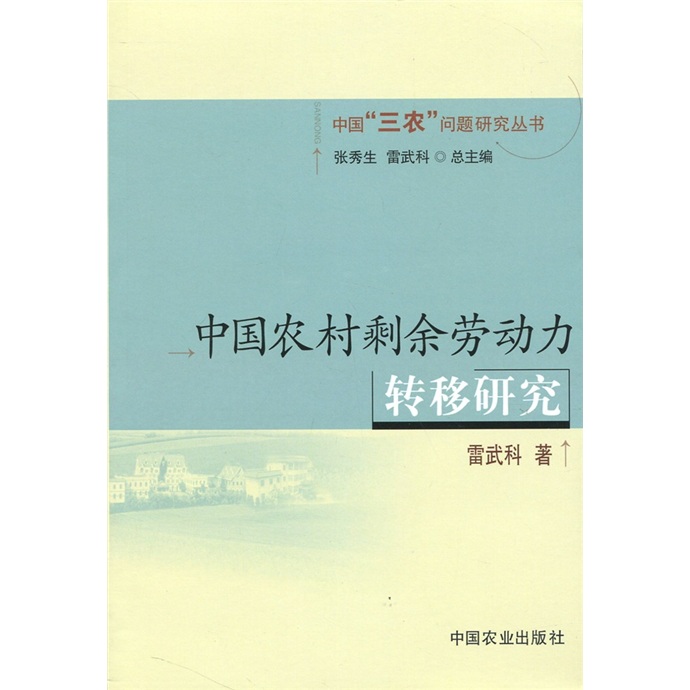 中国农村剩余劳动力转移研究