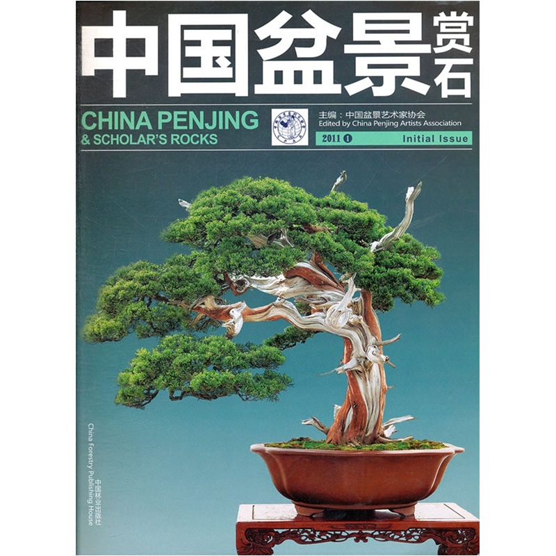 中国盆景赏石2011