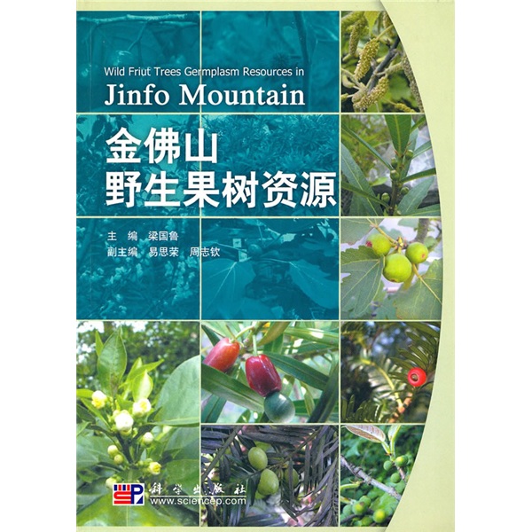 金佛山野生果树资源