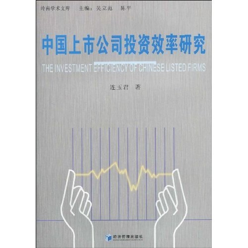 中国上市公司投资效率研究