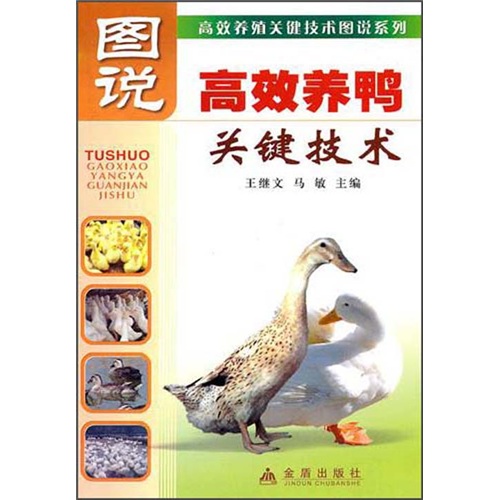 图说高效养鸭关键技术