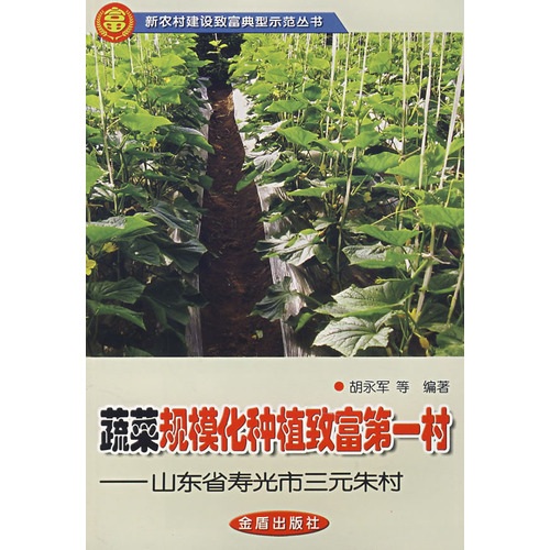蔬菜规模化种植致富村山东省寿光市三元朱村