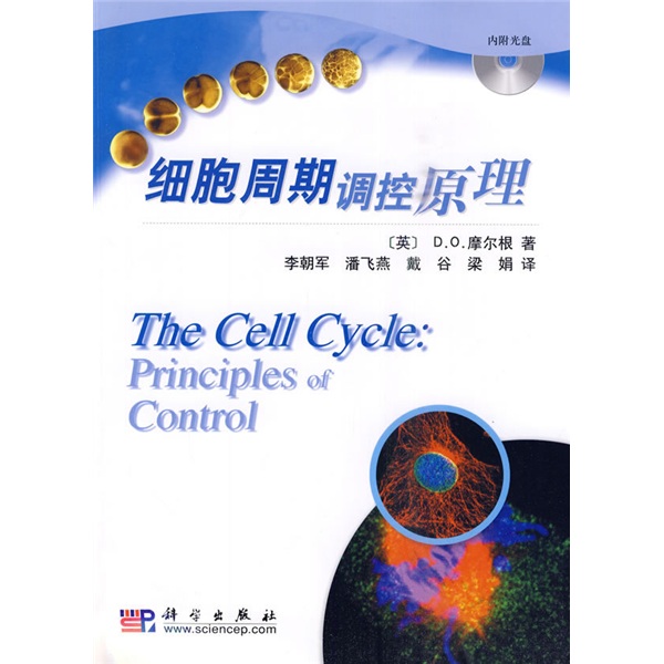 细胞周期调控原理