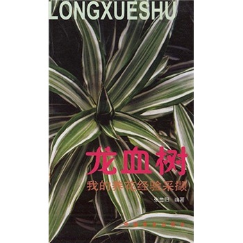 我的养花经验采撷：龙血树