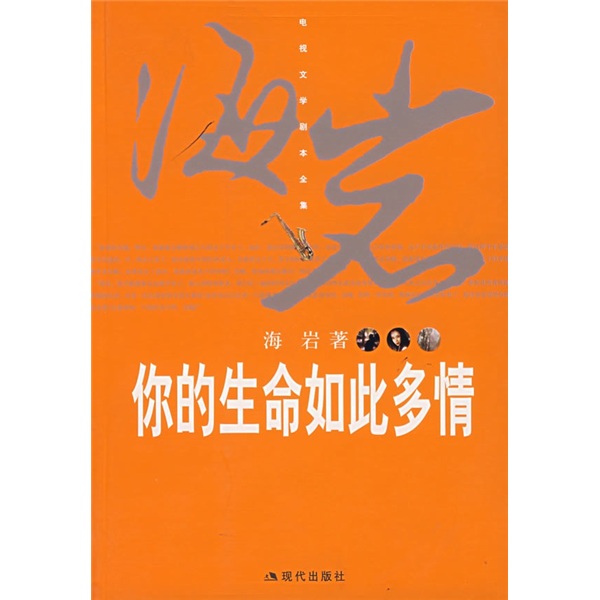 【正版】海岩作品:你的生命如此多情