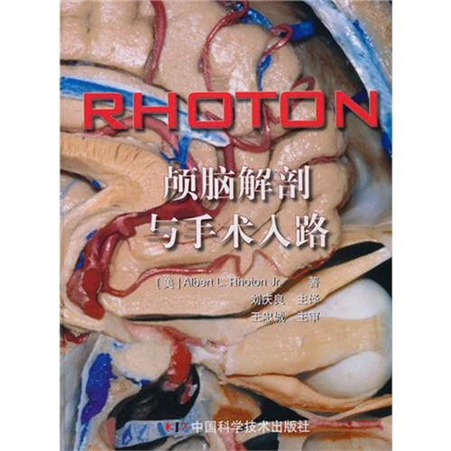 颅脑解剖与手术入路