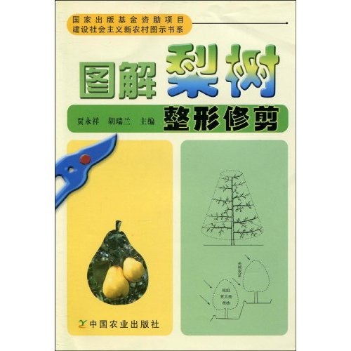 图解梨树整形修剪