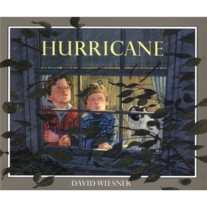 Hurricane 飓风