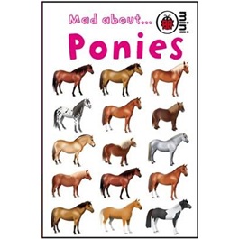 【精装】让人着迷的小马 儿童科普小百科 /Mad About Ponies 进口原版英文儿童绘本