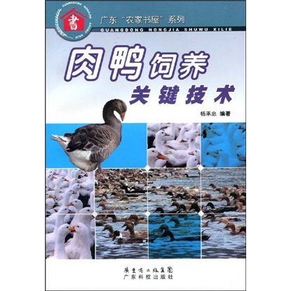 肉鸭饲养关键技术