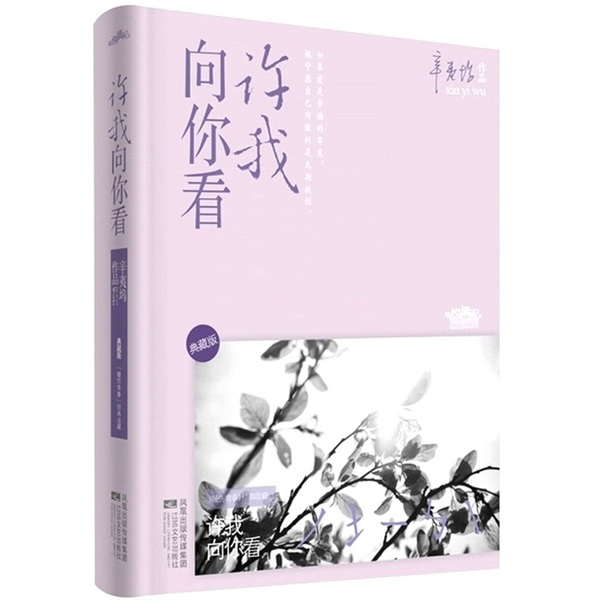许我向你看（典藏版）
