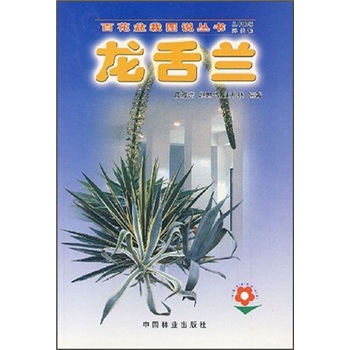 龙舌兰