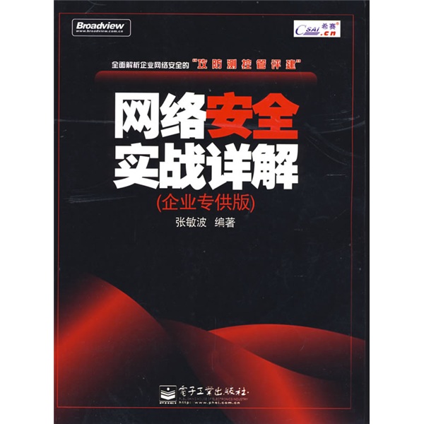 网络安全实战详解
