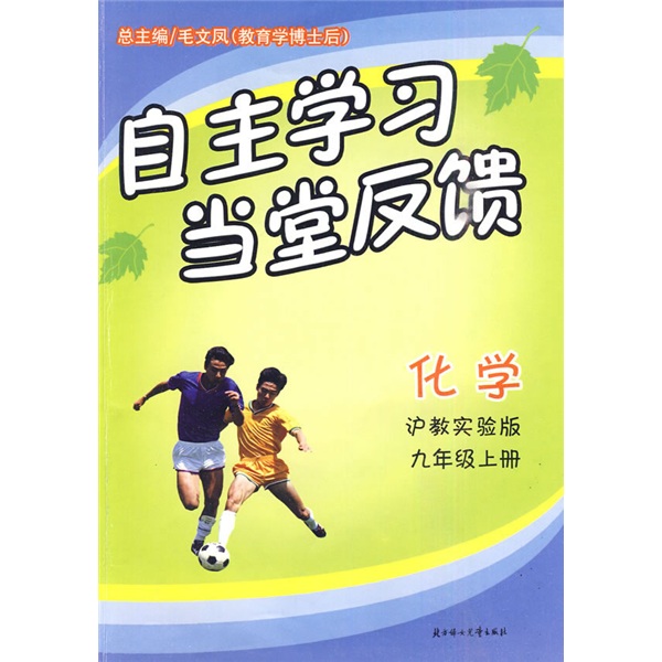 自主学习当堂反馈：化学（9上）（沪教实验版）封面