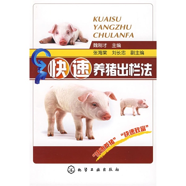 快速养猪出栏法