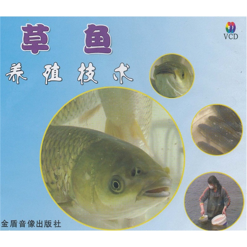 草鱼养殖技术（VCD）