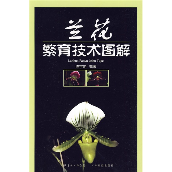 兰花繁育技术图解