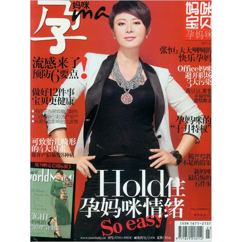 妈咪宝贝（孕妈咪）（2011年11月）