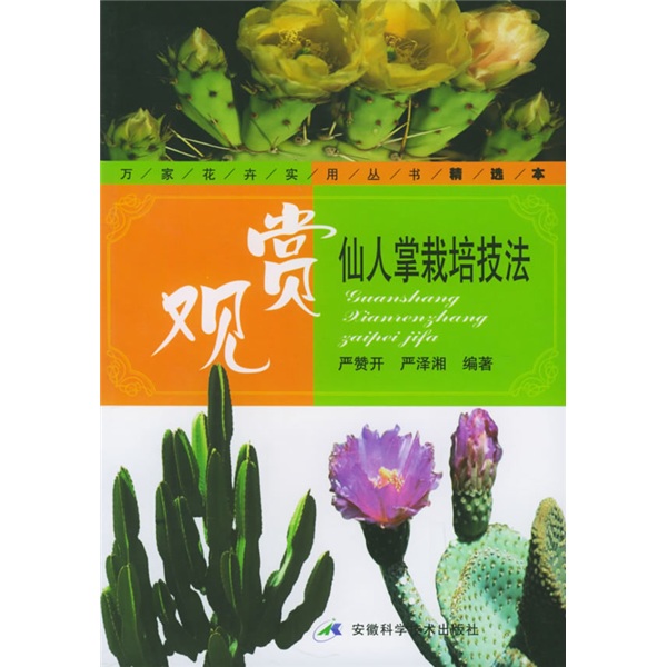 观赏仙人掌栽培技法
