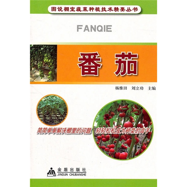 番茄