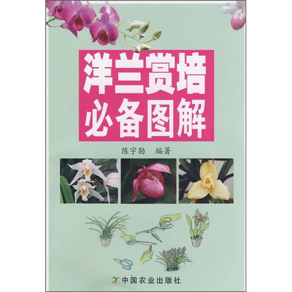 洋兰赏培必备图解