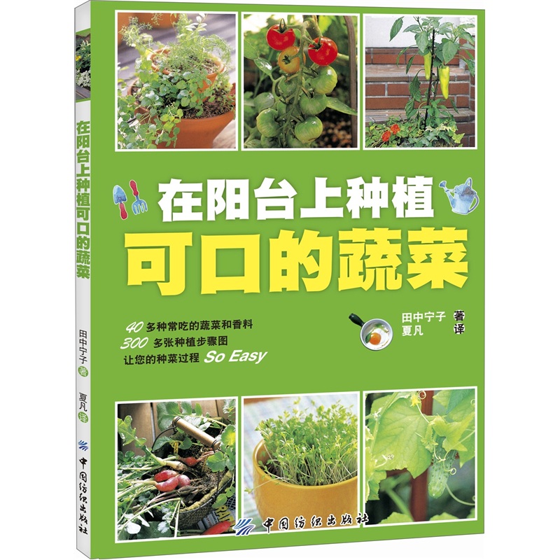 在阳台上种植可口的蔬菜