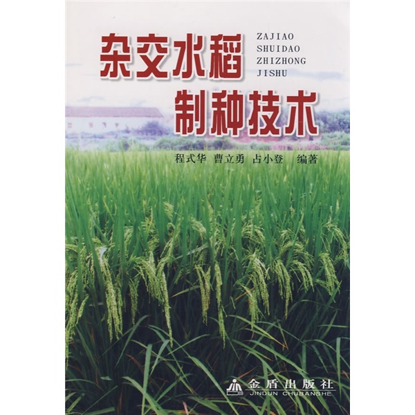 杂交水稻制种技术