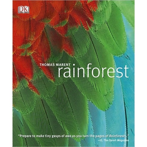 Rainforest word格式下载