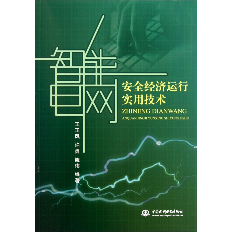 智能电网安全经济运行实用技术