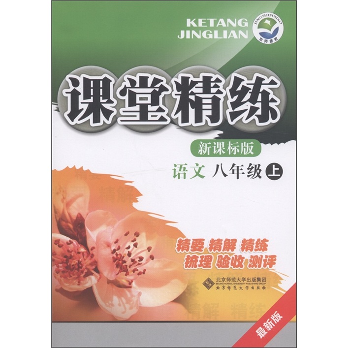课堂精练：语文（8年级上）（新课标版·最新版）封面