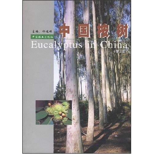 中国桉树