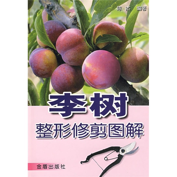 李树：整形修剪图解