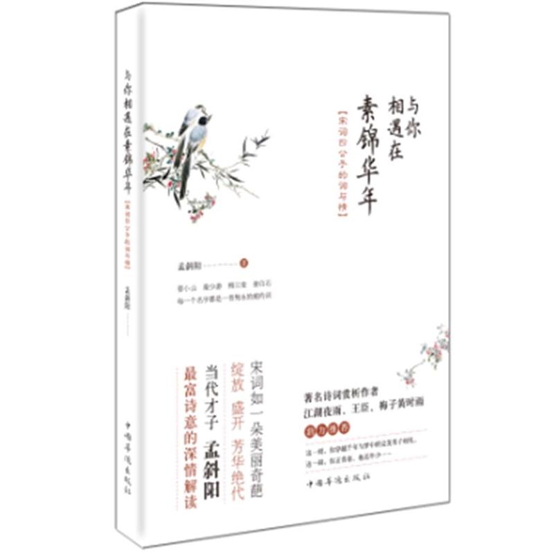 正版现货与你相遇在素锦华年9787511321886