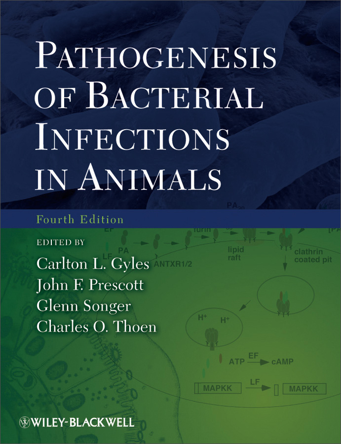 pathogenesis of bacterial infections in animals